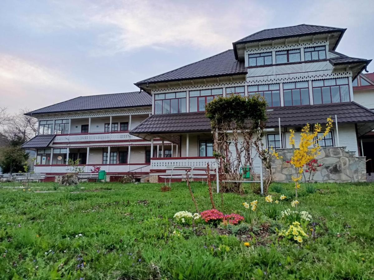 Villa Padurea De Argint à Văratec Extérieur photo