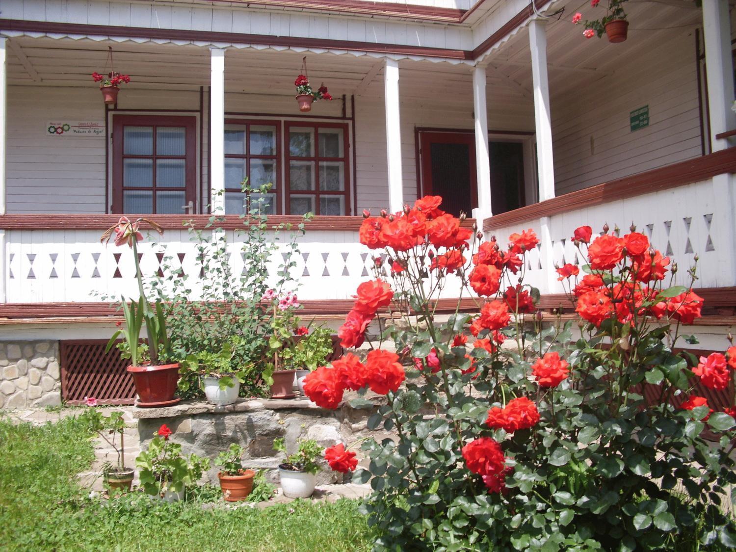 Villa Padurea De Argint à Văratec Extérieur photo