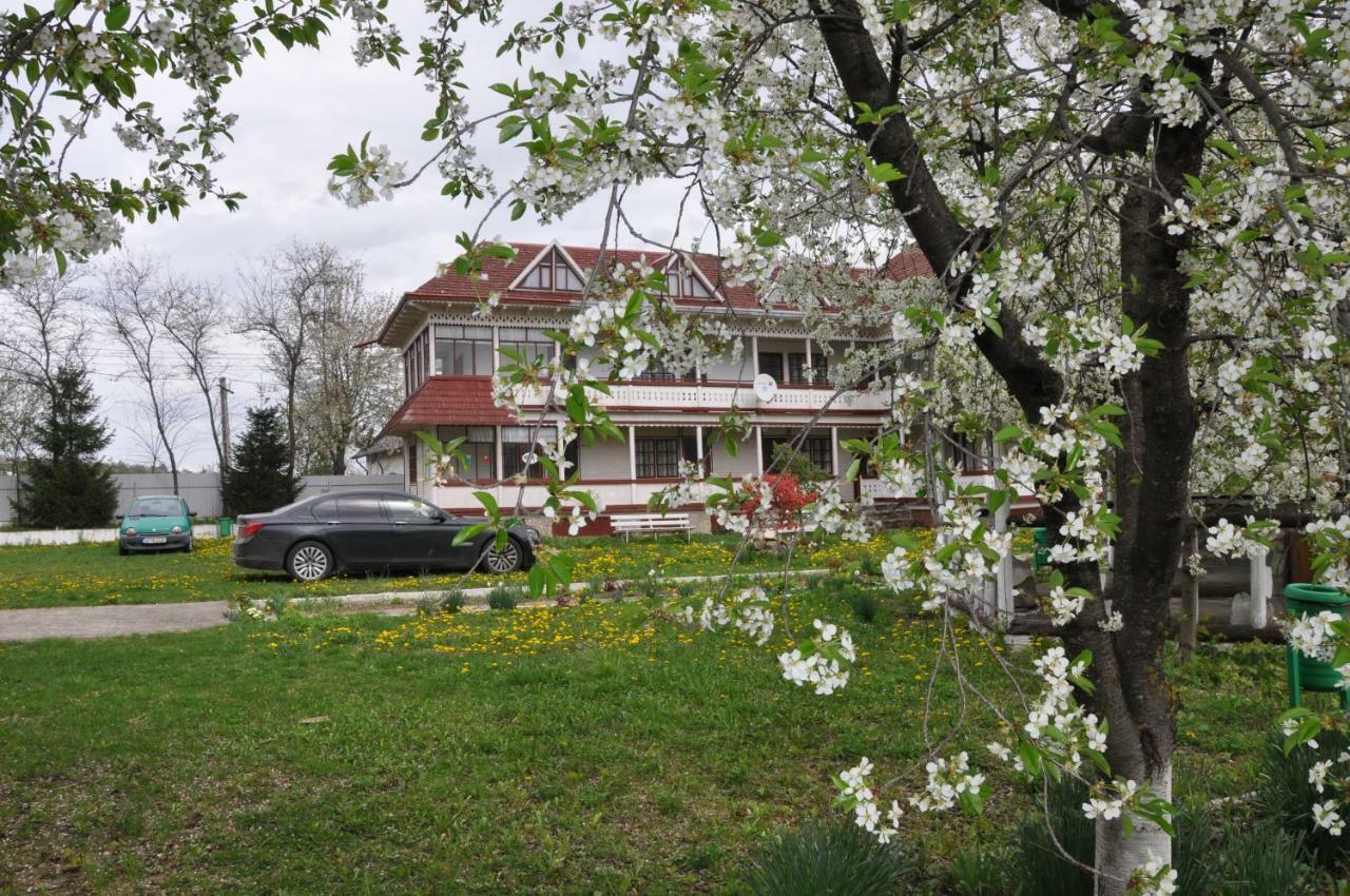 Villa Padurea De Argint à Văratec Extérieur photo