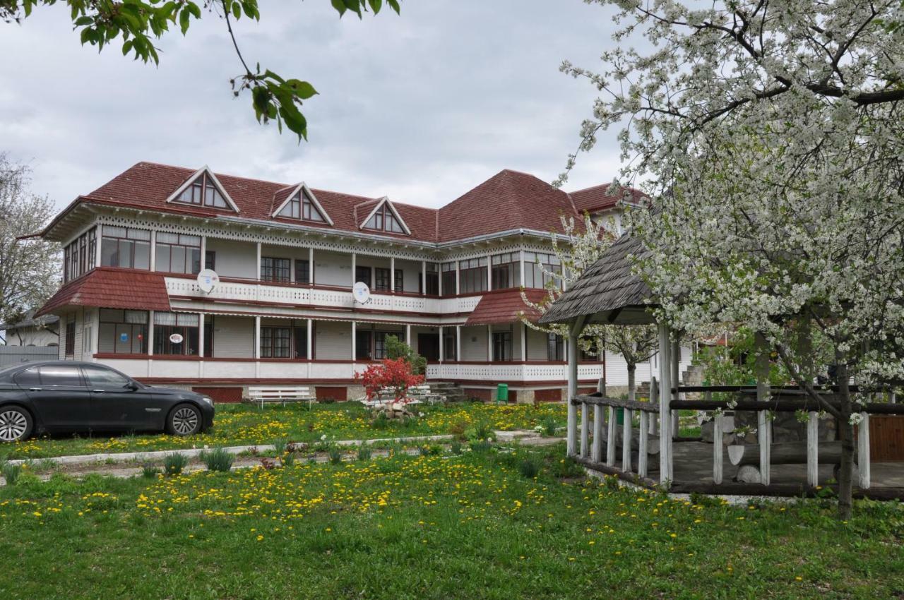 Villa Padurea De Argint à Văratec Extérieur photo