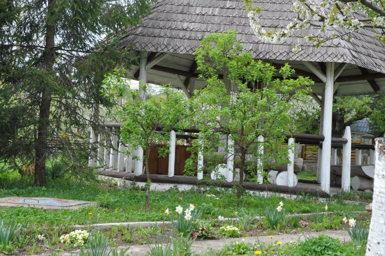 Villa Padurea De Argint à Văratec Extérieur photo